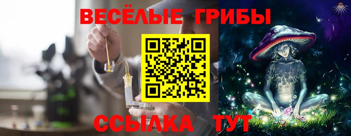 где продают наркотики  Вход с VPN  Гусев  Псилоцибиновые грибы MAGIC MUSHROOMS 